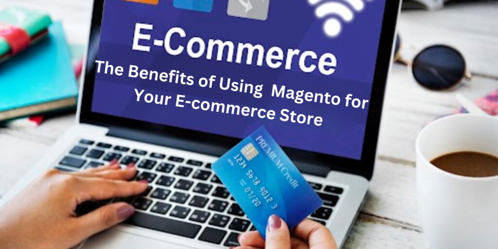 Magento Ecommerce Development-Ahmedabad, Gujarat, India